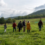 Offene Agroforstführung